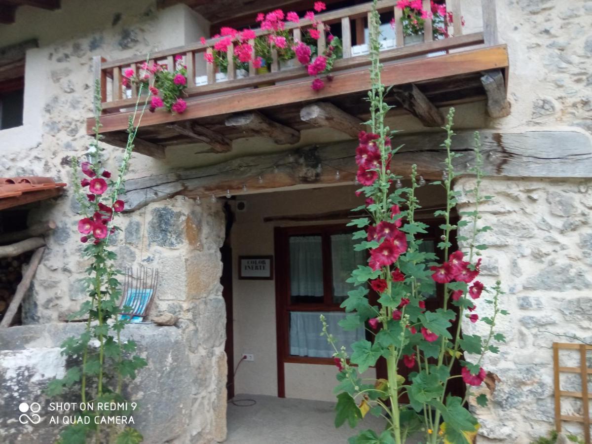 Belaustegi Turismo Rural Ispaster Luaran gambar