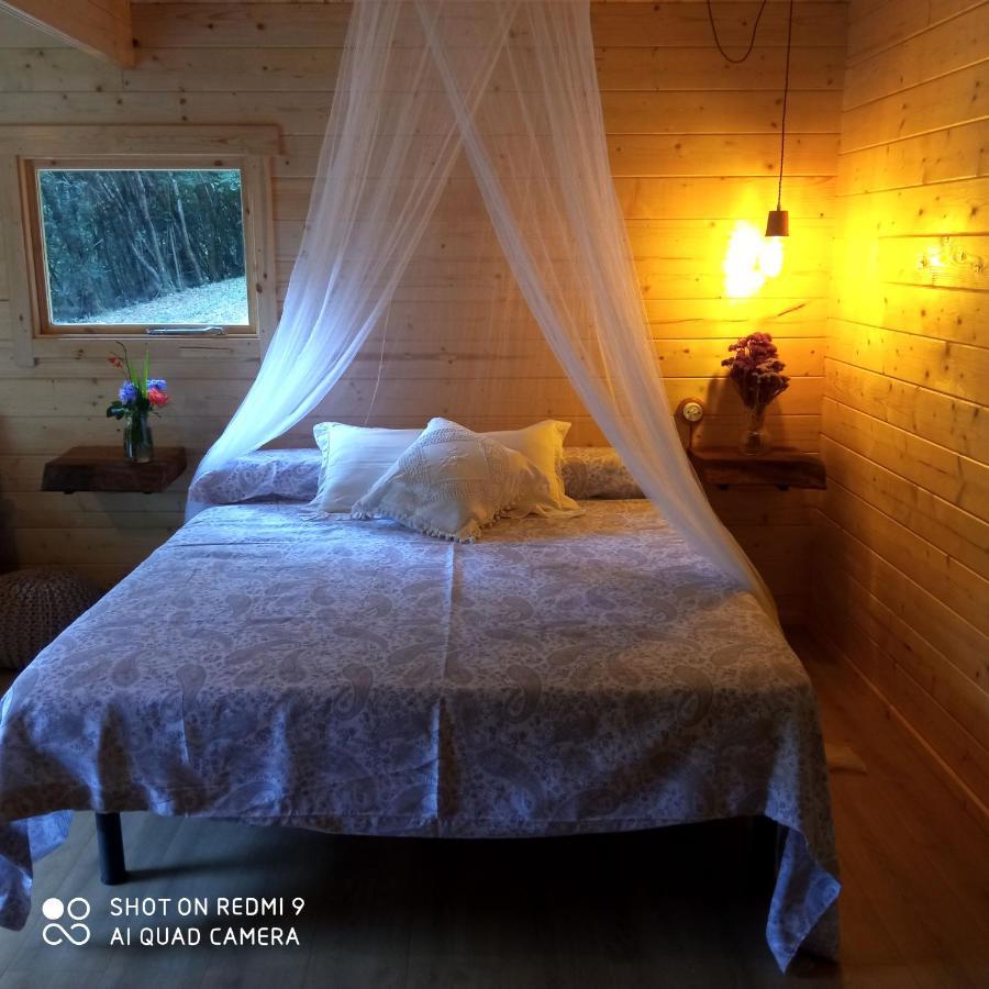 Belaustegi Turismo Rural Ispaster Luaran gambar